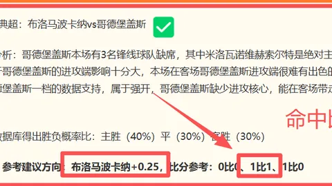 2026世界杯阿根廷埃及：十六强激战在即，谁能笑到最后阿根廷胜势
